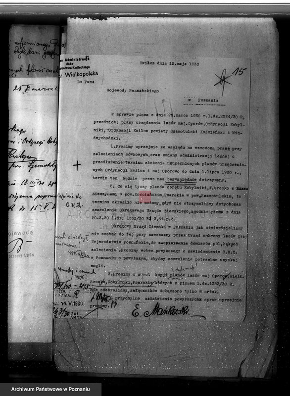 Obraz 19 z jednostki "Nadzór nad gospodarką w lasach majętności Kobylniki powiat kościański"