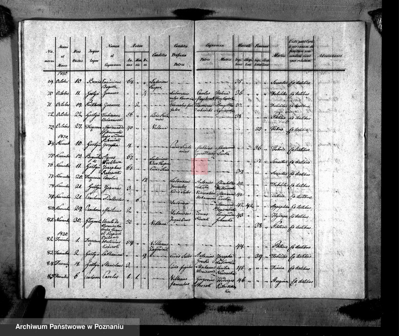 image.from.unit.number "Liber baptisatorum, copulatorum, mortuorum"