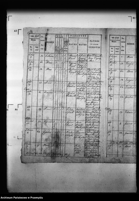 Obraz 18 z jednostki "[Kopie ksiąg metrykalnych parafii Drozdowice z filiami Stroniowice, Wielunice (dekanat Niżankowice)]"