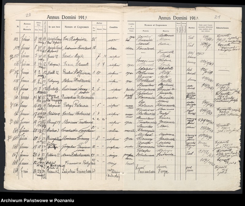 Obraz 13 z jednostki "Indeks zgonów"