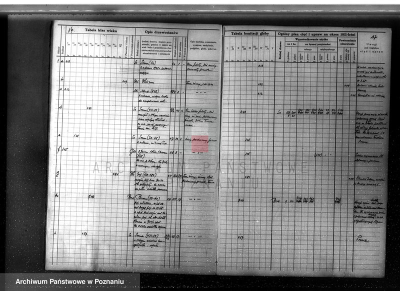 Obraz 20 z jednostki "Program urządzania gospodarstwa leśnego dla lasu klasztoru O.O Benedyktynów w Lubiniu powiat kościański"
