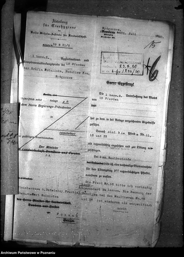 Obraz 19 z jednostki "Nosacizna - Bydgoszcz"