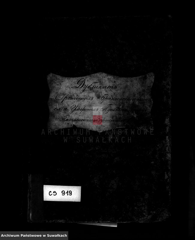 image.from.unit.number "Dublikat o roždennych, brakosočetavšichsja i umeršich puńskago rimsko-katoličeskago prichoda c 1884 goda"