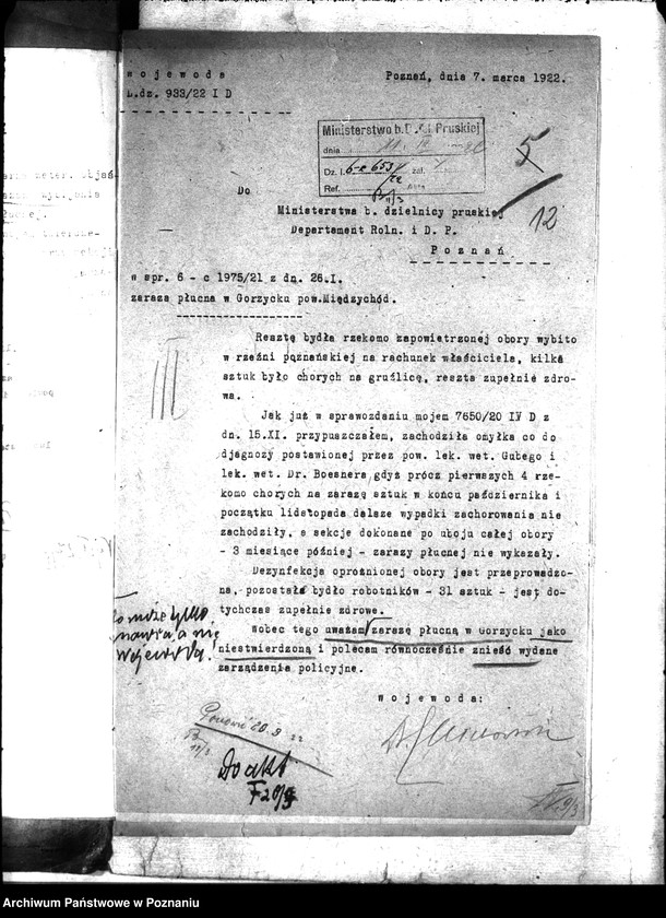 Obraz 16 z jednostki "Zaraza płucna - Międzychód"