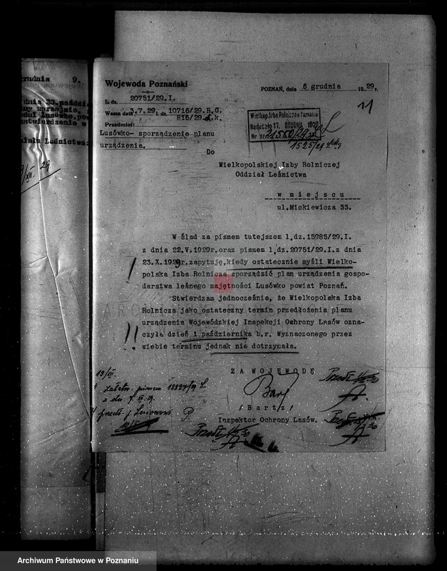 Obraz 15 z jednostki "Zarząd majętności Lusówko powiat poznański/ nadzór nad gospodarką leśną/"