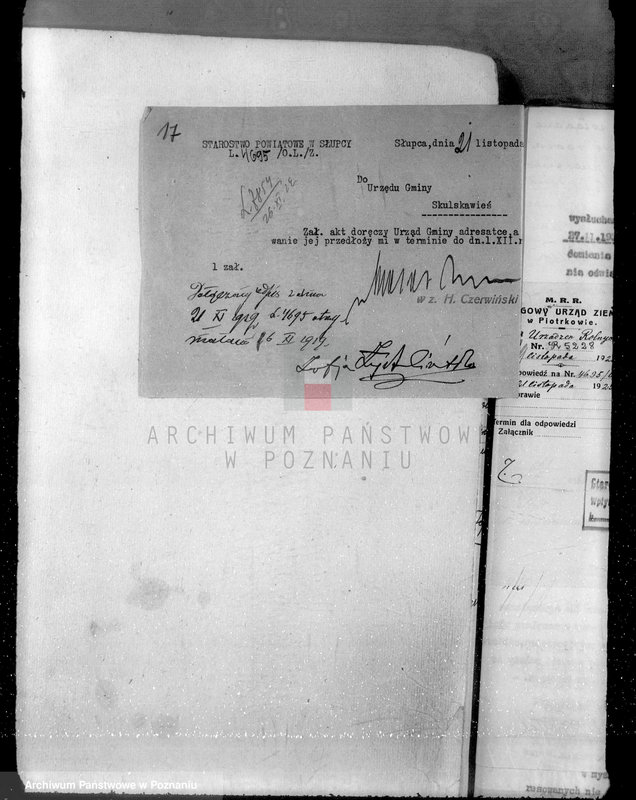 Obraz 20 z jednostki "Sprawa zmiany rodzaju użytkowania 14,42 ha gruntów leśnych w majątku Zalesie powiatu słupeckiego i zatwierdzenie planu gospodarczego"