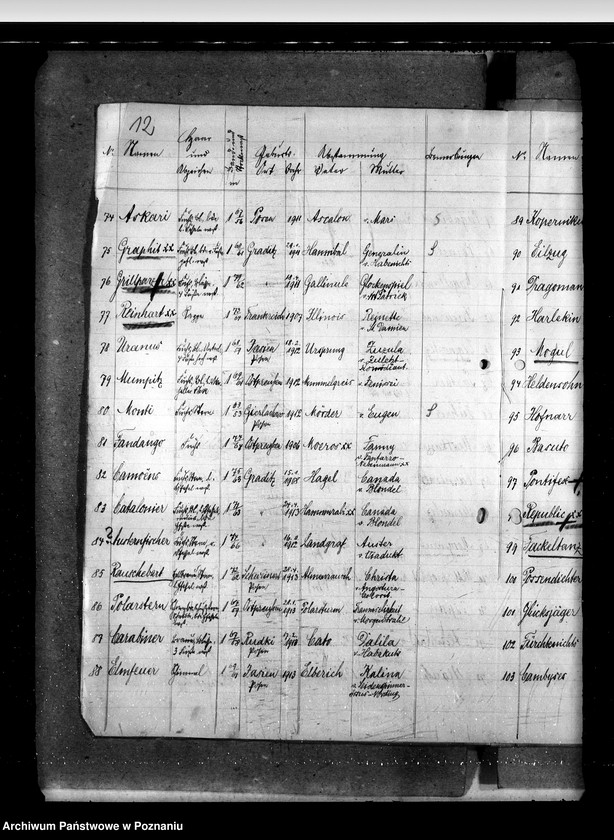 Obraz 16 z jednostki "Sprawy stadnin Zarząd Stadnin Sieraków"