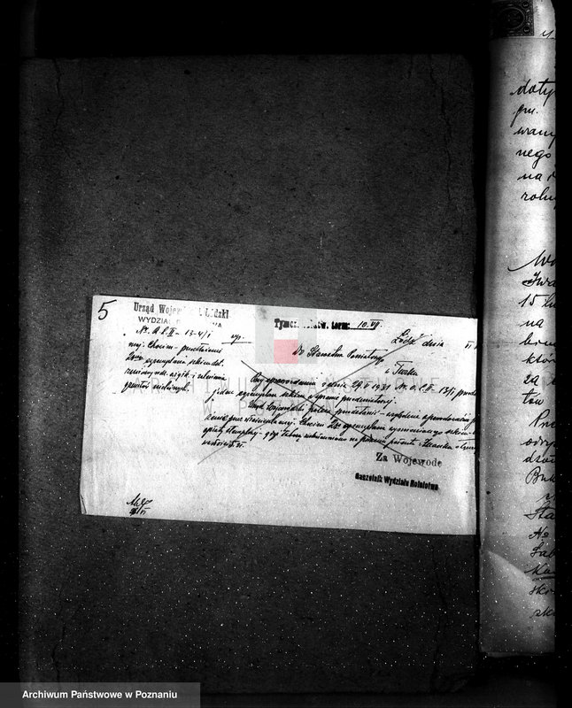 Obraz 9 z jednostki "Sprawa zmiany rodzaju użytkowania gruntów leśnych w majątku Chocim powiat turecki"