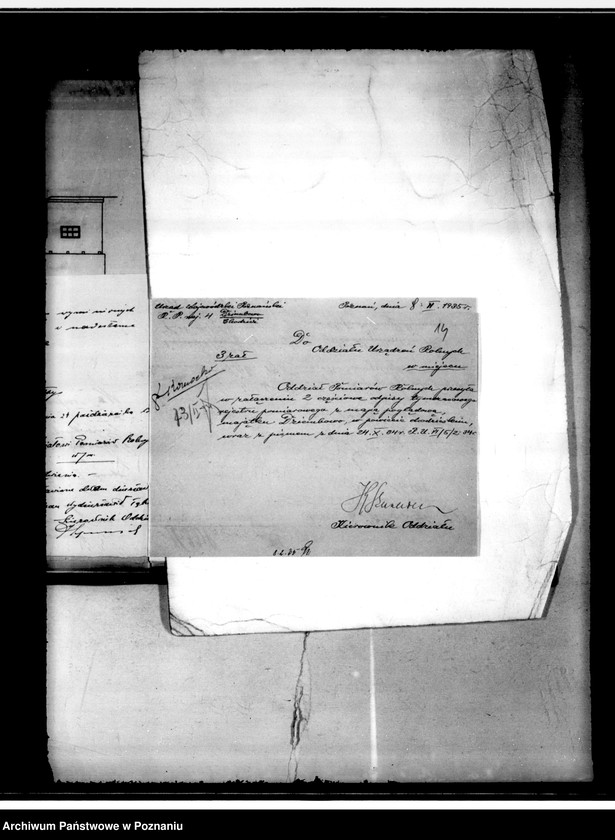 Obraz 17 z jednostki "Majątek Dziembowo powiat chodzieski dzierżawa upolowania"