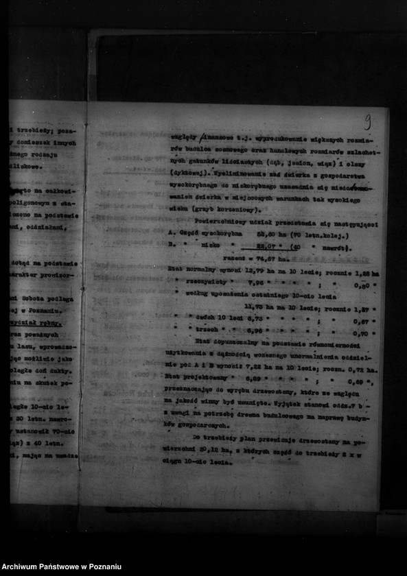 Obraz 13 z jednostki "Plan urządzenia gospodarstwa leśnego dla lasu majętności Sobota powiat poznański 1936-1946"