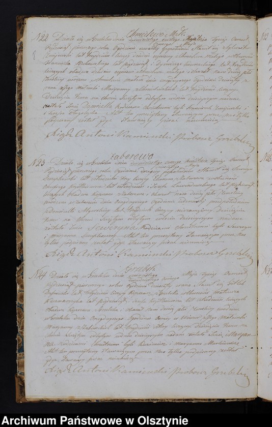 image.from.unit.number "Duplikat Aktów Urodzenia, Zaślubień, Zeyścia za Rok 1851 z Parafij Grzebskiey"