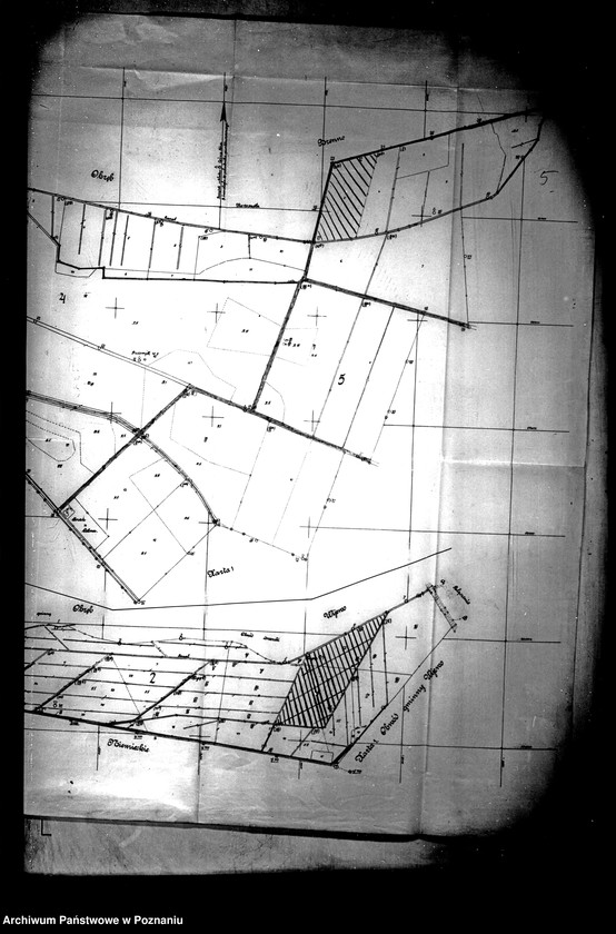 Obraz 9 z jednostki "Przewłaszczenie ziem dotacyjnych majątku Radomyśl powiatu leszczyńskiego"