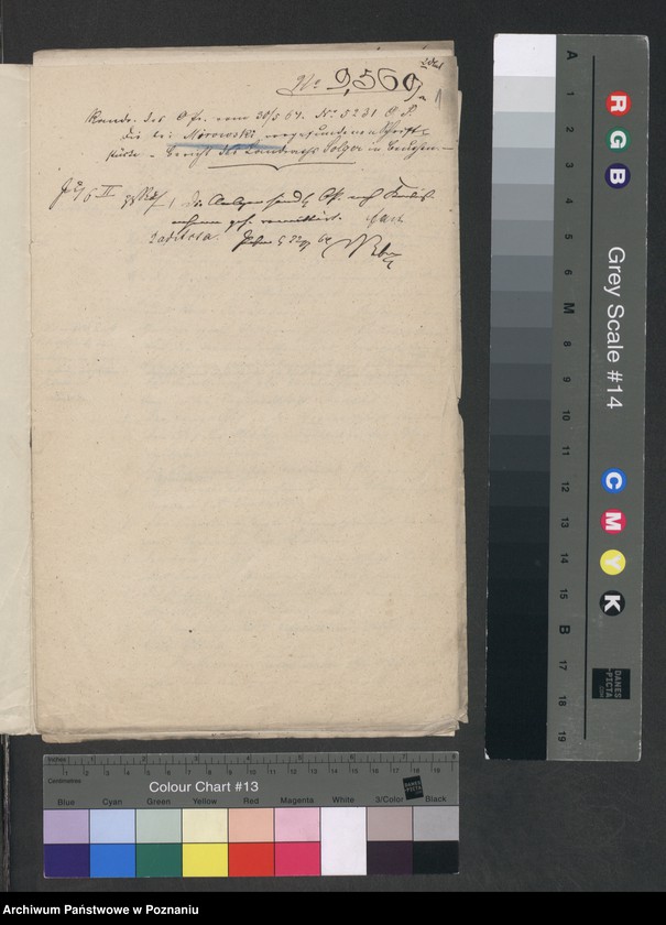 Obraz 4 z jednostki "A. betr. Alexander Mirowski"