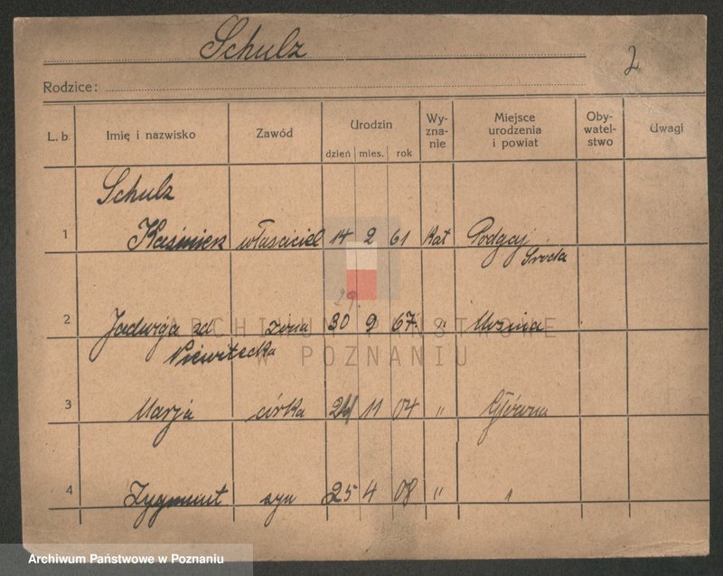 Obraz 7 z jednostki "Szulc (żonaci od Kazimierz do wdowy)"