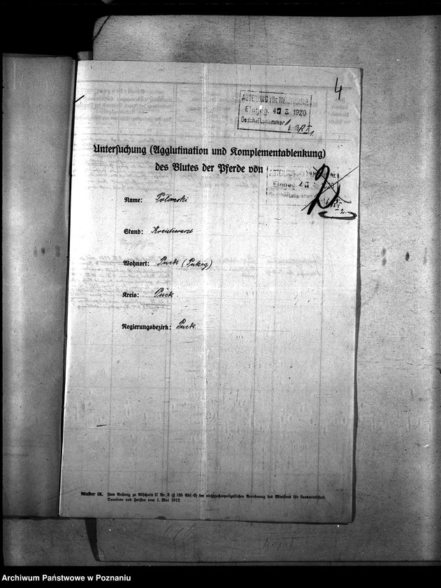 Obraz 8 z jednostki "Nosacizna - Puck"