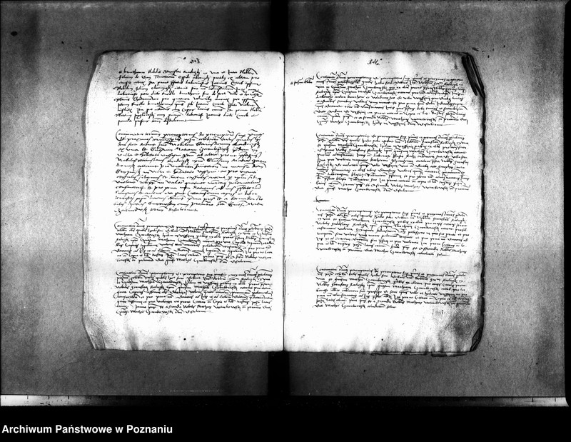 Obraz 20 z jednostki "Inscriptiones, relationes, decreta [inducta]"