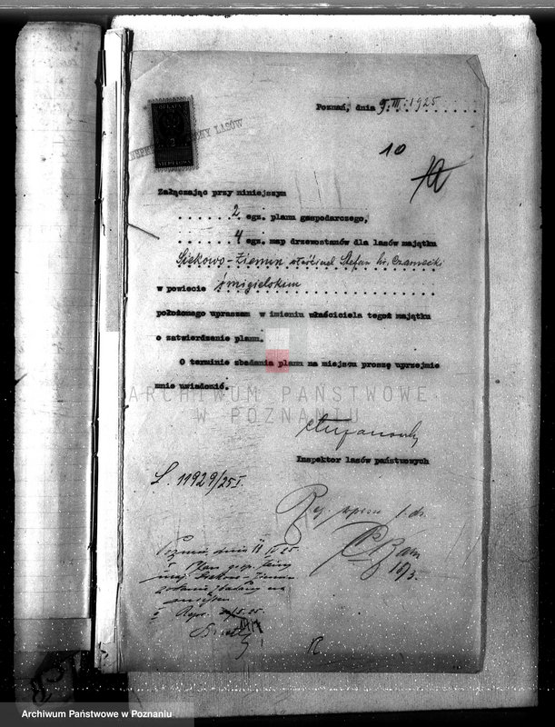 Obraz 14 z jednostki "Majętność leśna /Siekówko/ powiat kościański"