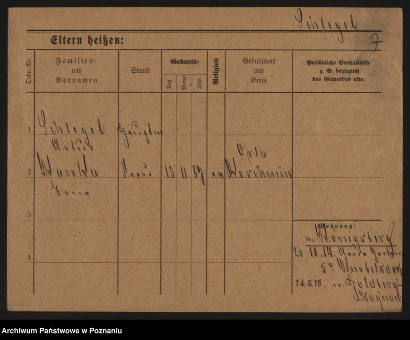 Obraz 18 z jednostki "Szlefer - Szliżewski"