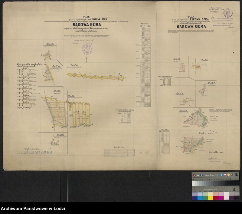 Obraz 1 z jednostki "Plan gruntów wydzielonych z dóbr Bąkowa Góra ... tytułem zamiany oddanych w gminie Masłowice powiecie radomszczańskim ... położonej"