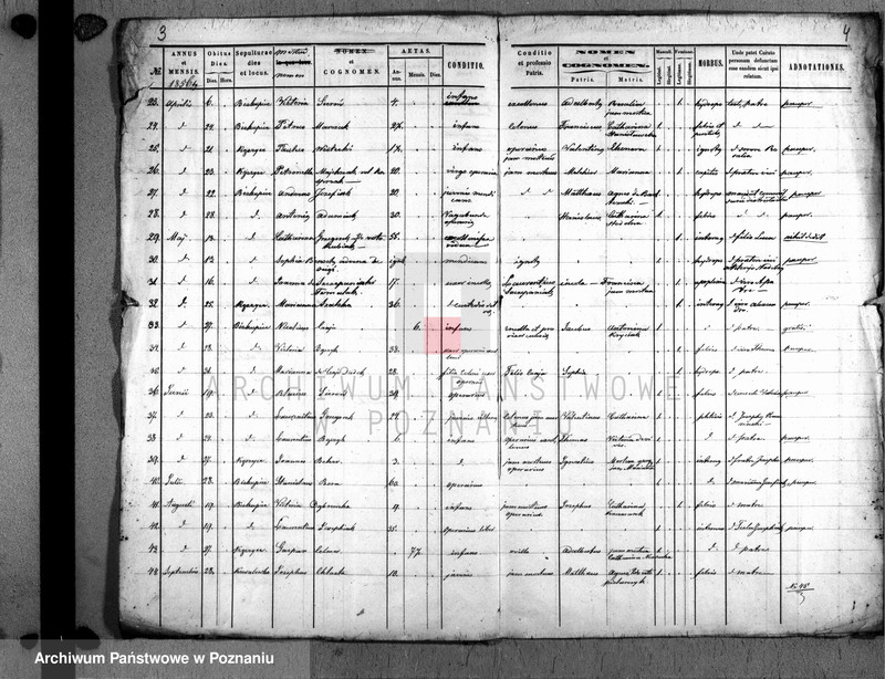 Obraz 4 z jednostki "Duplicatus mortuorum"