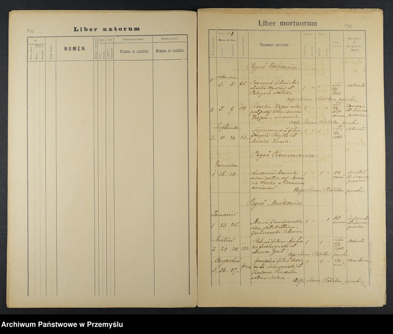 image.from.unit.number "Extractus e libris metricalibus copulatorum natorum et mortuorum dioecesis Premisliensis decanatus Pruchnicensis parochiae Kosienicensis ex Anno 1903"