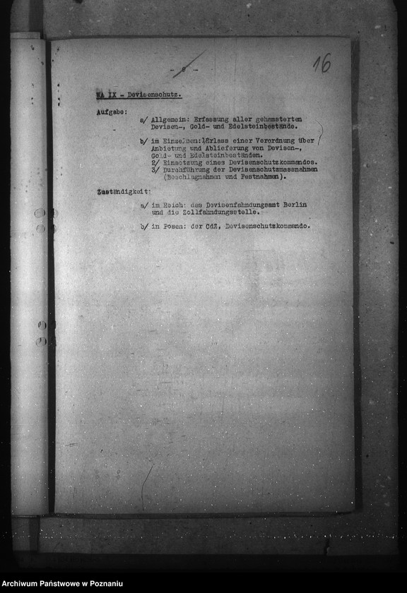 Obraz 20 z jednostki "Podziały czynności w wydziałach oraz przybudówkach urzędu namiestnika"