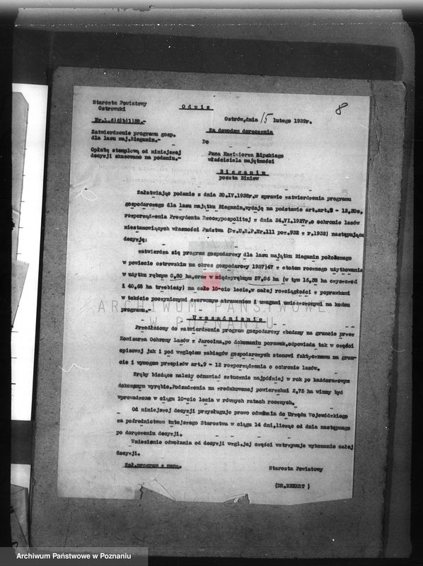 Obraz 12 z jednostki "Las majętności Bieganin powiat obornicki"