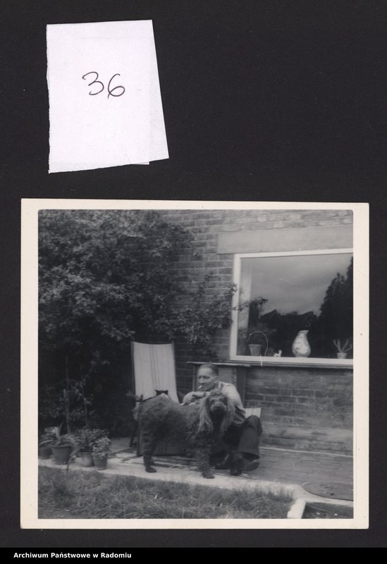 Obraz 2 z kolekcji "Najlepszy przyjaciel człowieka111"