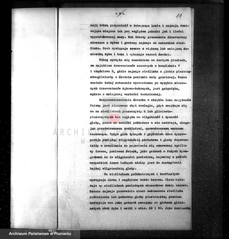 Obraz 15 z jednostki "Plan urządzenia gospodarstwa leśnego dla lasu majętności Pniewy powiat szamotulski 1937-1947"