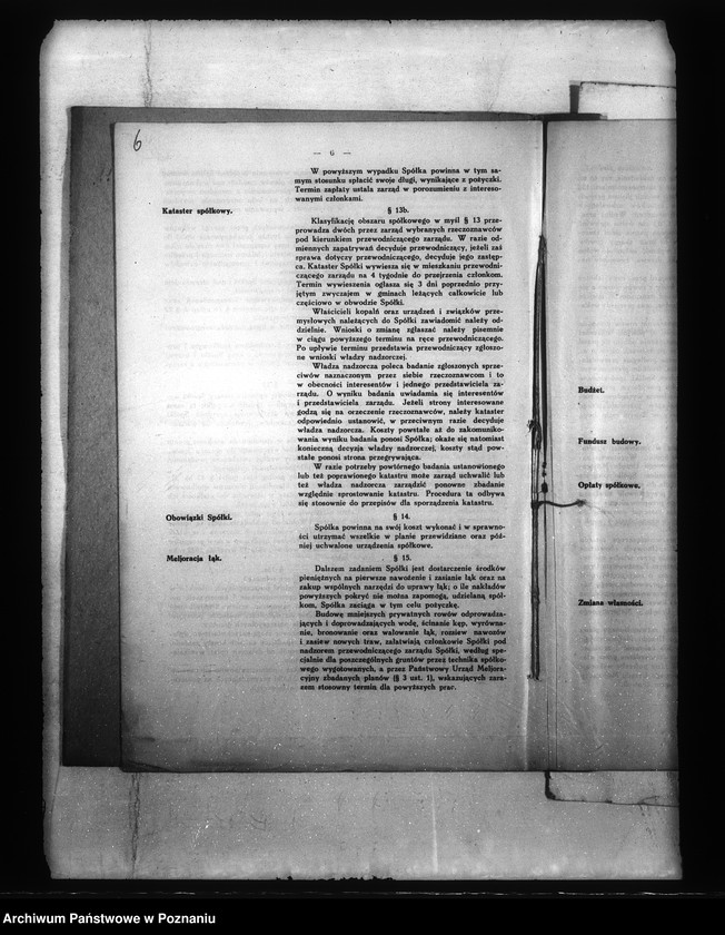 Obraz 10 z jednostki "Statut spółki odwodnienia w Świechocinie powiat międzychodzki"