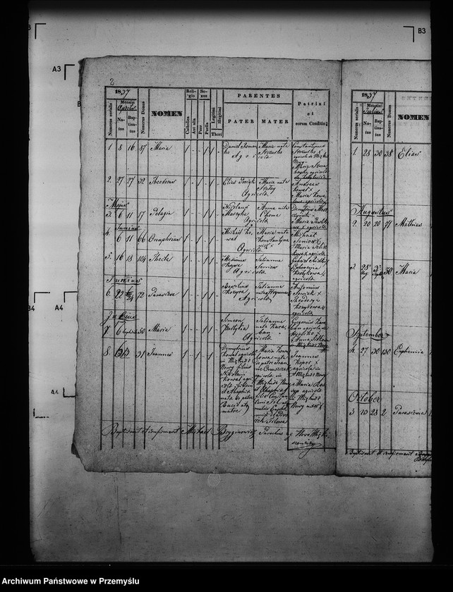 image.from.unit.number "[Kopie ksiąg metrykalnych parafii Miękisz Nowy z filiami Miękisz Stary i Tuchla (dekanat Jarosław)]"