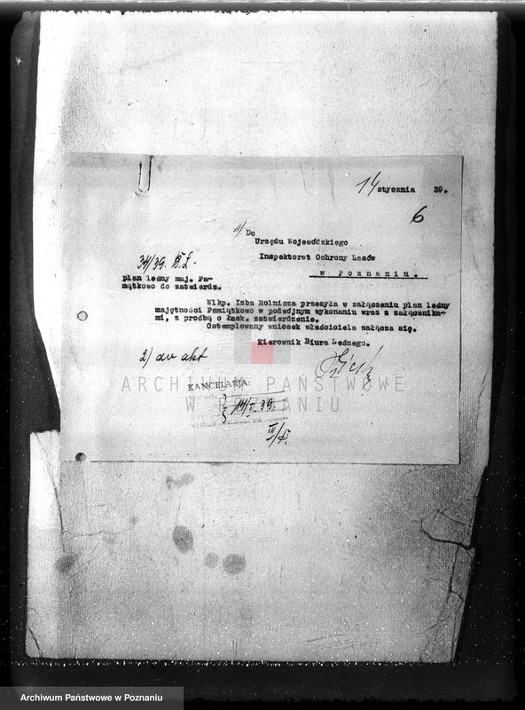 Obraz 10 z jednostki "Majętność /leśna/ Pamiątkowo powiat obornicki"