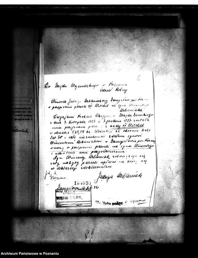 Obraz 10 z jednostki "Parcelacja lasu Witobel XV powiatu poznańskiego Jadwiga Urbaniak"