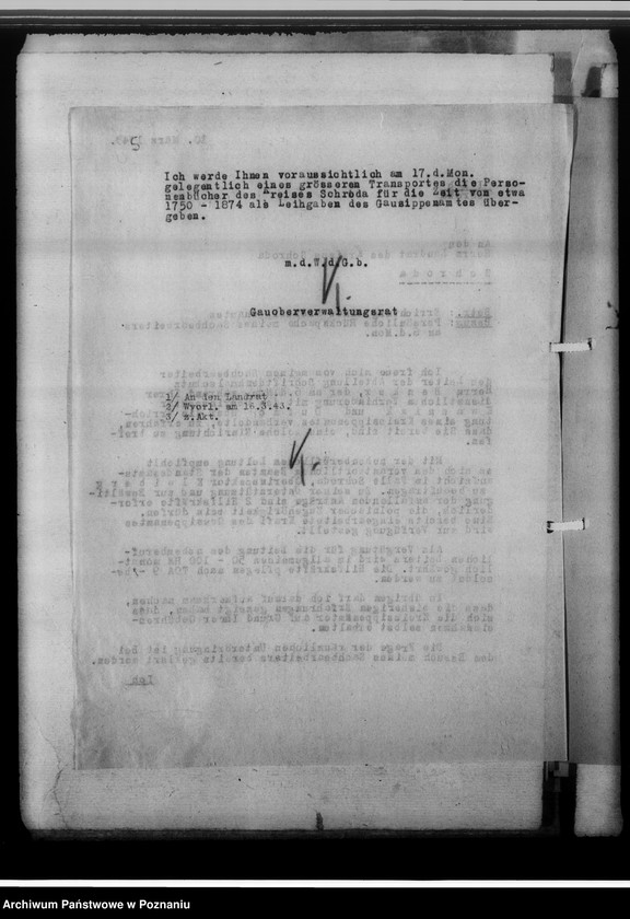 Obraz 9 z jednostki "[Korespondencja w sprawach organizacyjnych, sprawozdanie z działalności], Kreissippenamt Schroda [Środa]"