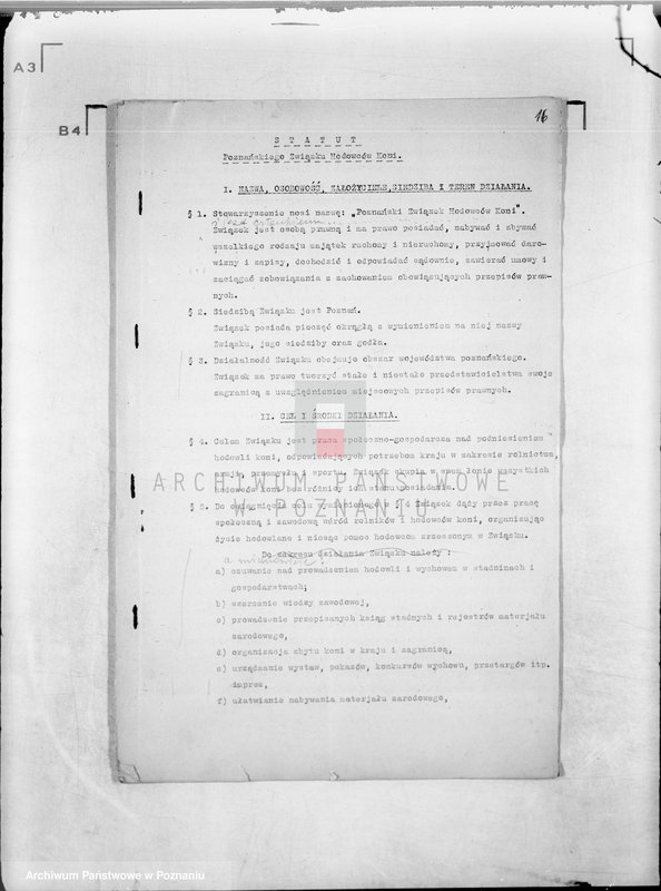 Obraz 20 z jednostki "/Poznański Związek Hodowców Koni w Poznaniu/"