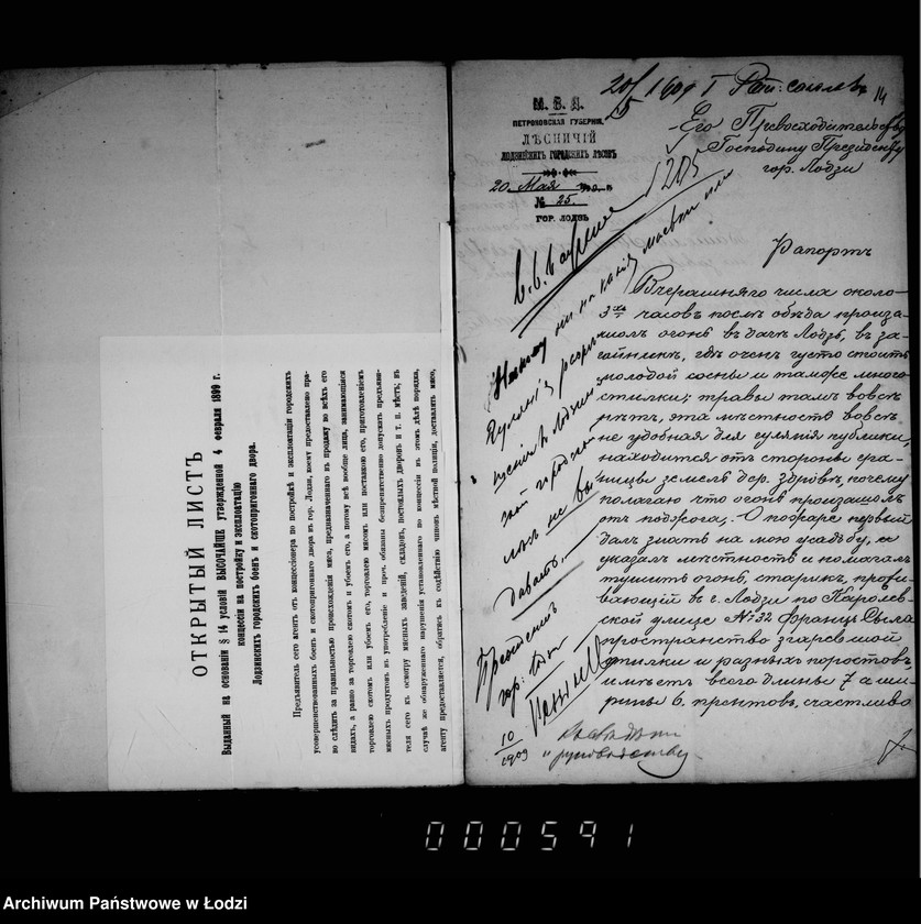 Obraz 13 z jednostki "O porubkach i kraže derevev v gorodskich gorodskich lesach"