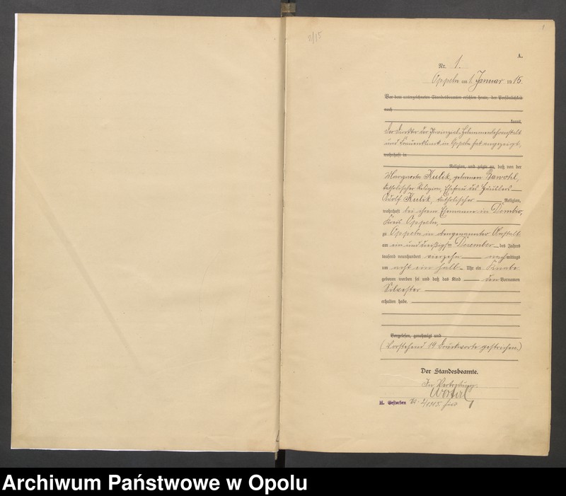 image.from.unit.number "[Księga urodzeń Rok 1915] Nr 1-559"