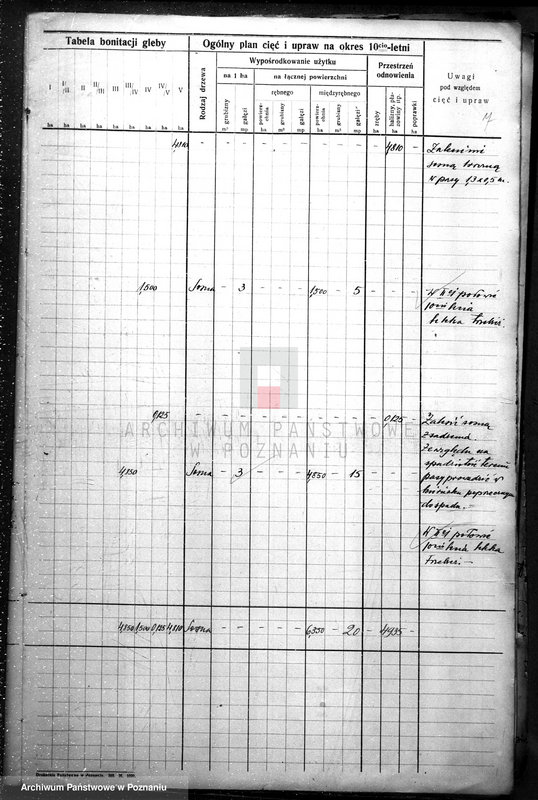 Obraz 11 z jednostki "Plan urządzania gospodarstwa leśnego dla gminy miasta Czarnkowa"