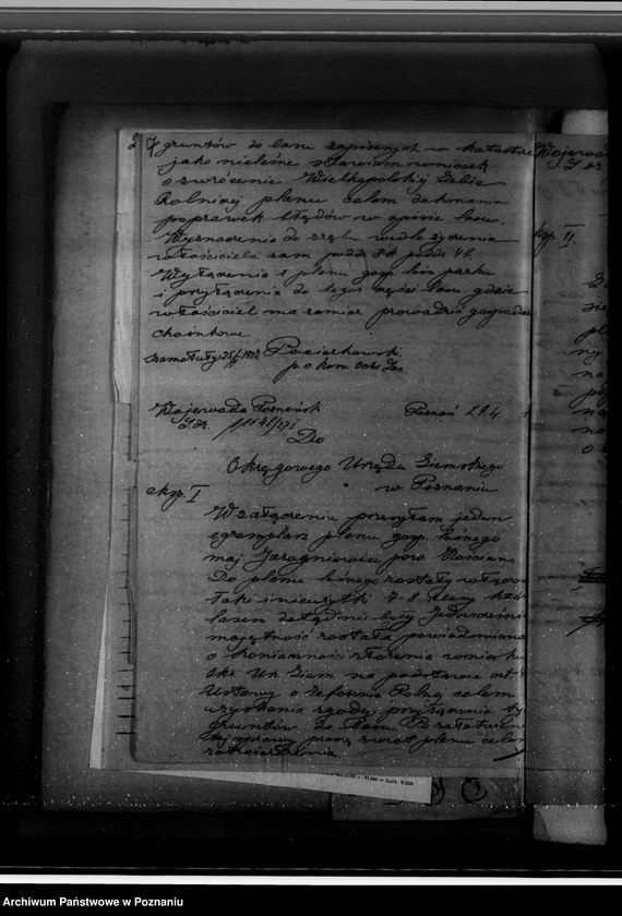 Obraz 11 z jednostki "Gospodarka w lasach majątku Jarogniewice powiat kościański"