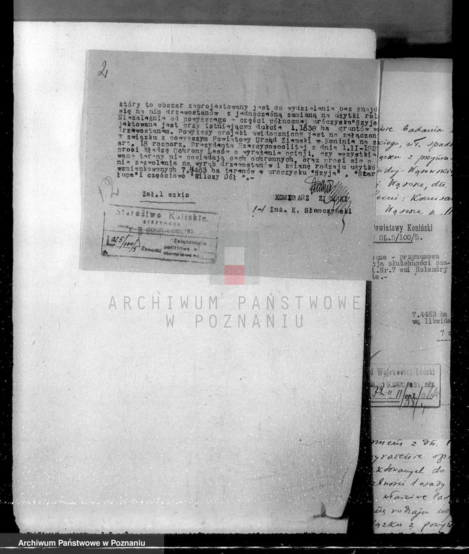 Obraz 7 z jednostki "Sprawa przymusowej likwidacji służebności osady nr 7 Holendry Wąsowskie w lasach majątku Wąsosze /powiat koniński/ oraz nieprawnego wyrębu"