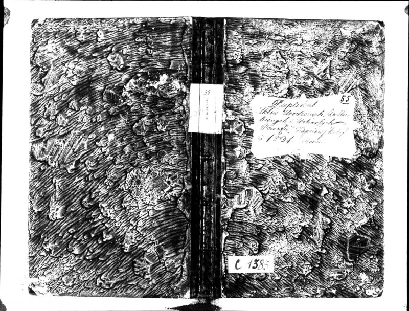 image.from.unit.number "Duplikat Aktów Urodzonych, Zaślubionych i Umarłych Parafii Kopciowskiey 1831 Roku"