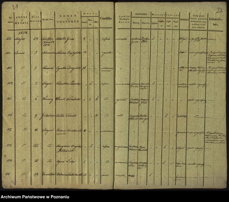 Obraz 14 z jednostki "Księga zgonów"