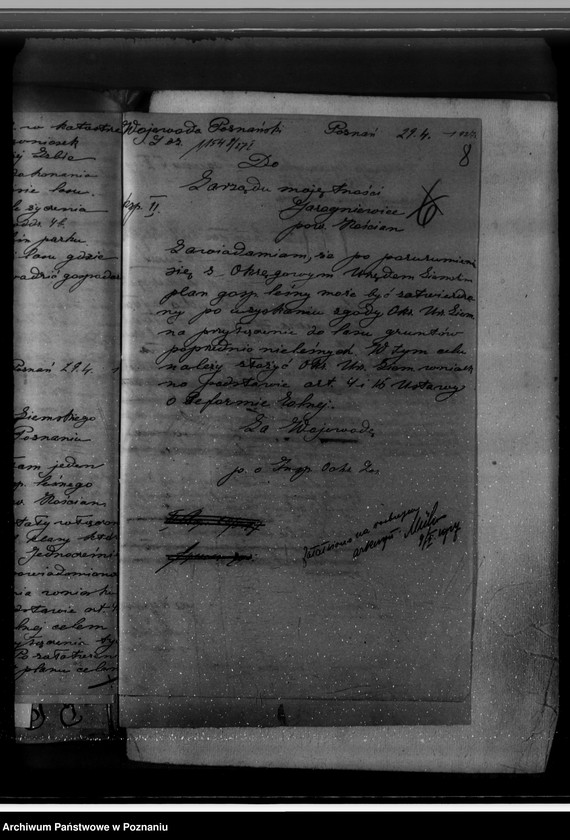 Obraz 12 z jednostki "Gospodarka w lasach majątku Jarogniewice powiat kościański"