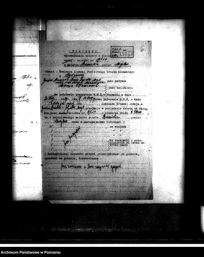 Obraz 10 z jednostki "Stawiska B 5 i 6 powiatu mogileńskiego /osada parcelacyjna/"