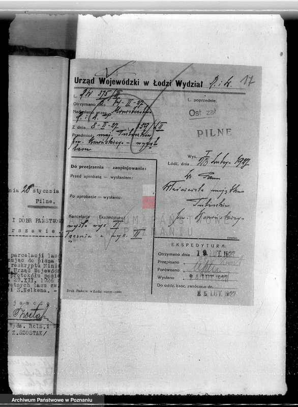 Obraz 20 z jednostki "Las miasta Tuliszkowo powiat koniński"