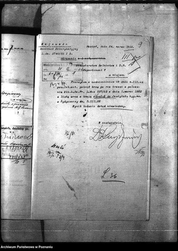 Obraz 13 z jednostki "Nosacizna - Poznań-Zachód"