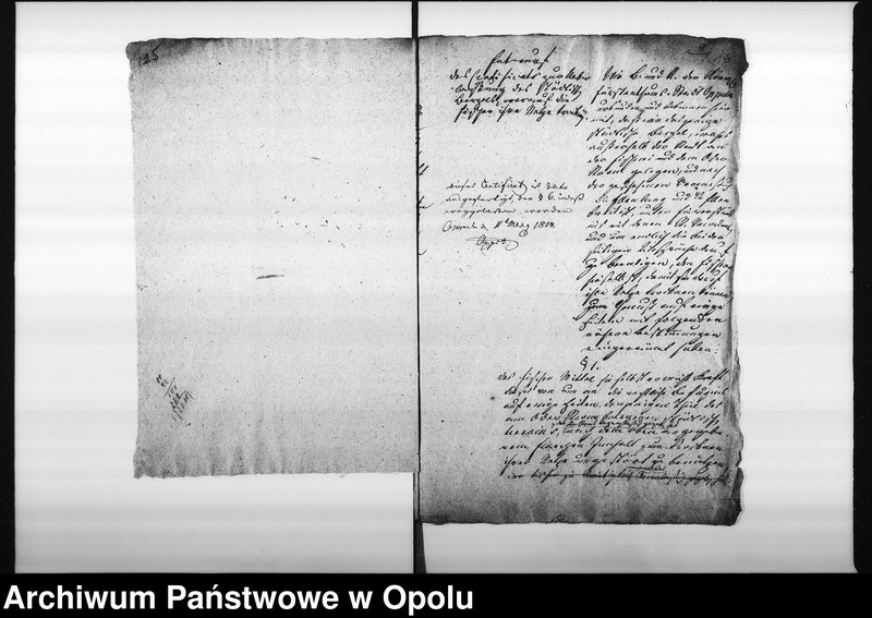 Obraz 13 z jednostki "Acta des Magistrats zu Oppeln betreffend die Ueberlassung des sogenannten städtischen Fischer Bergels an die auf der Domainen Amts Fischerey wohnenden Fischer für die Befungniss die Brücken aufzueissen Vol: I de anno 1812"