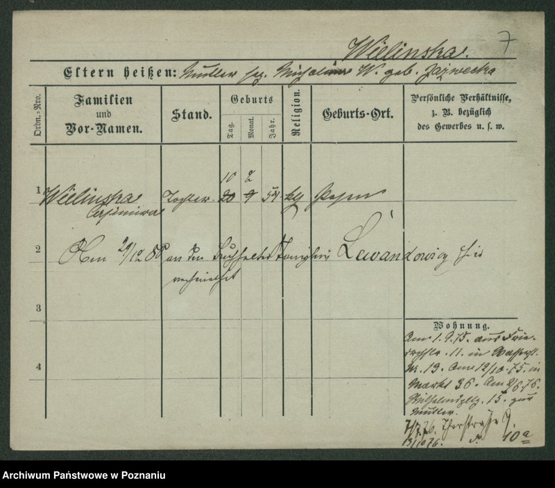 Obraz 18 z jednostki "Wieczorkiewicz - Wiertel"