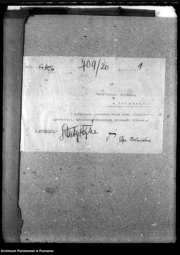 Obraz 5 z jednostki "Statystyka"