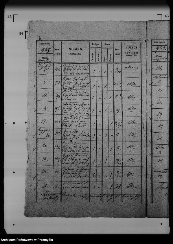 Obraz 7 z jednostki "[Kopie ksiąg metrykalnych parafii Wólka Mazowiecka (dekanat Rawa Ruska)]"